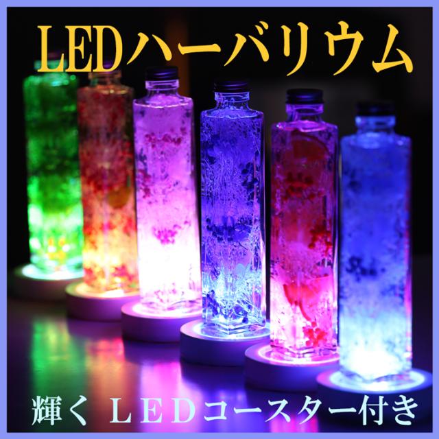 ＬＥＤハーバリウム