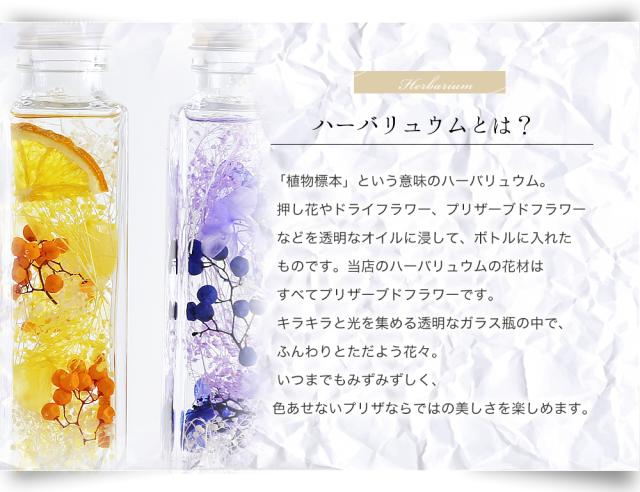 ハーバリウムとは 