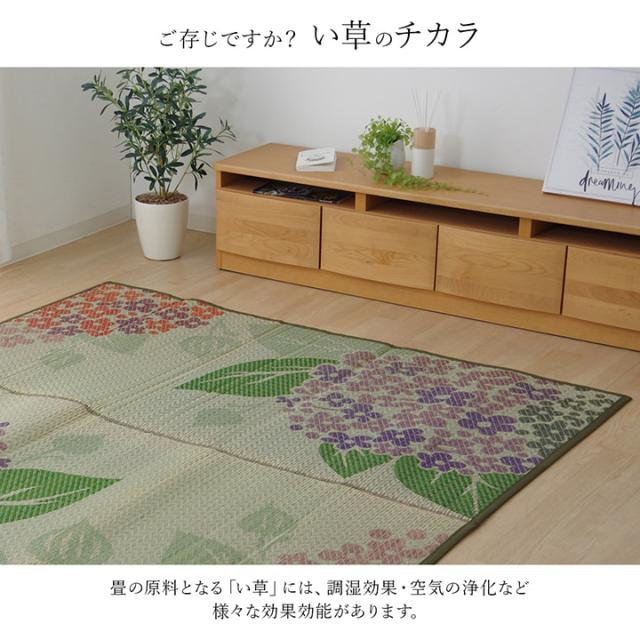 大幅値下 メール便ok 日本製 ラグカーペット 夏用 い草 カーペット ラグおしゃれ い草 カーペット ござ い草 カーペット ラグおしゃれ い草 カーペット ござ おし 好評 Carlavista Com