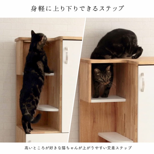 おしゃれ ラック 猫 通販 猫トイレ 収納 収納 家具 棚 ネコ おしゃれ トイレ収納 リビング収納 家具 猫用 隠す ねこ トイレ Catedraldetlalnepantla Org