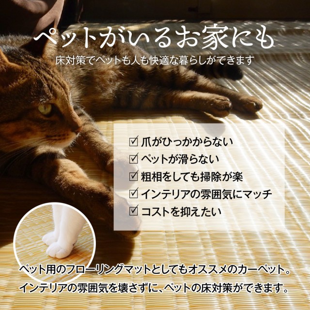ロットナン ペット カノン 本間4.5畳 約 286 × 286 cm の通販はau PAY マーケット - い草屋さんこたつ屋さん|商品ロット 粗相 カーペット 犬 猫 ラグ 水をはじく 汚れにくい い草風 カーペット 撥水 防ダニ りパイプ