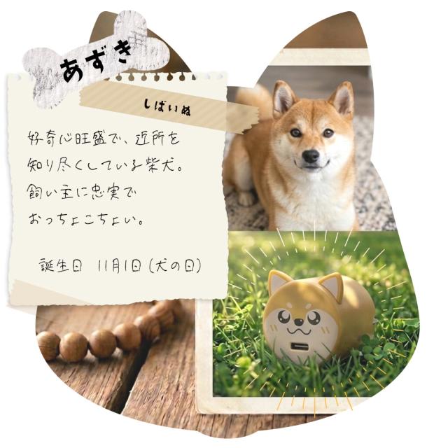 コロドッグ