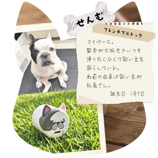 コロドッグ