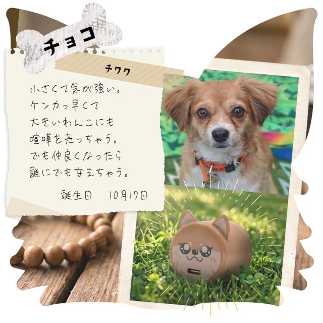 コロドッグ
