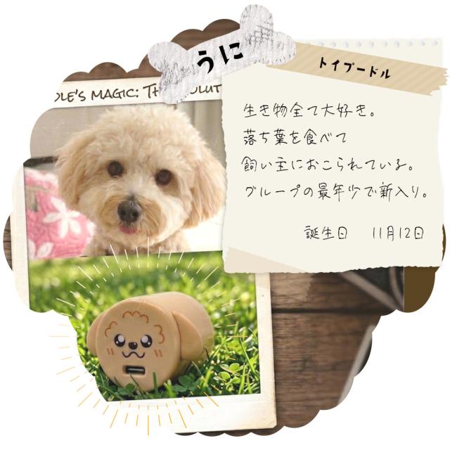 コロドッグ