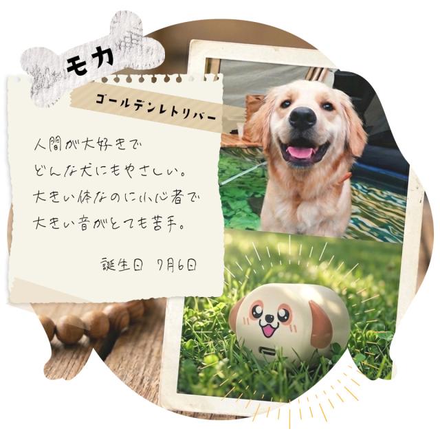 コロドッグ