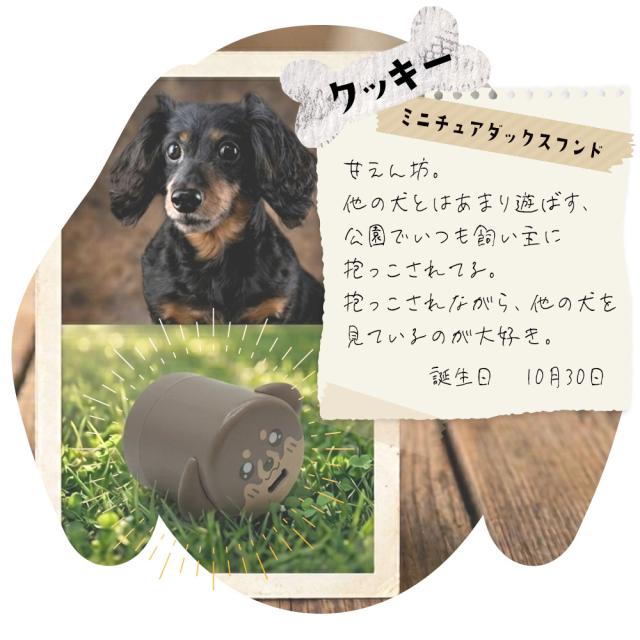 コロドッグ