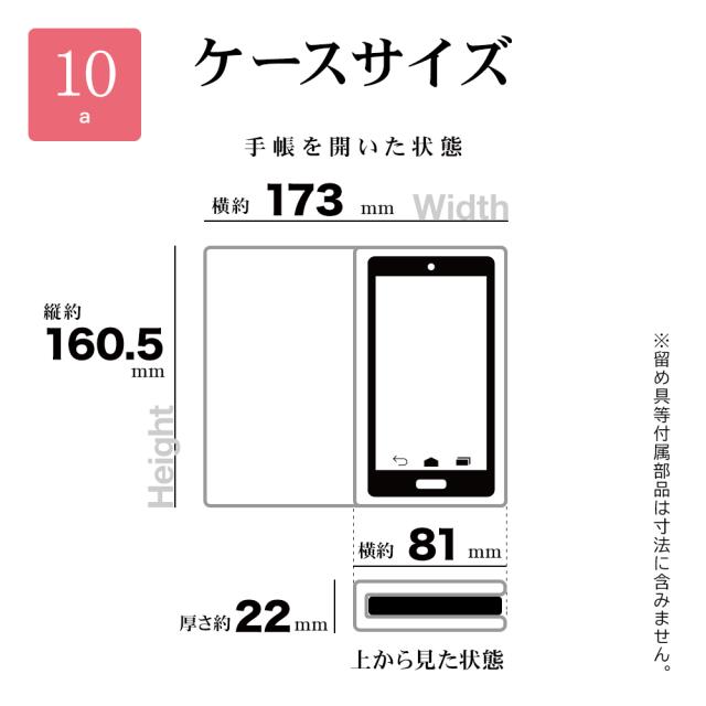 サイズ