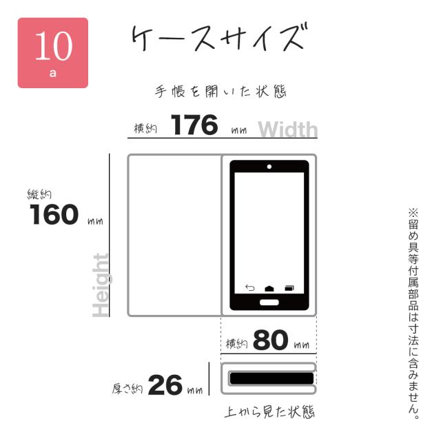 サイズ