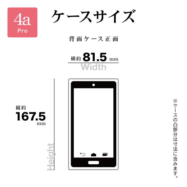 4aPro_サイズ