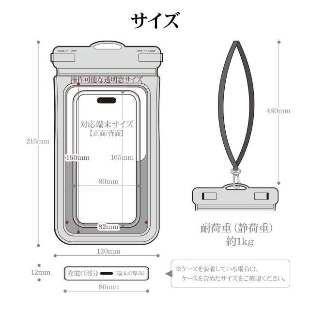 サイズ