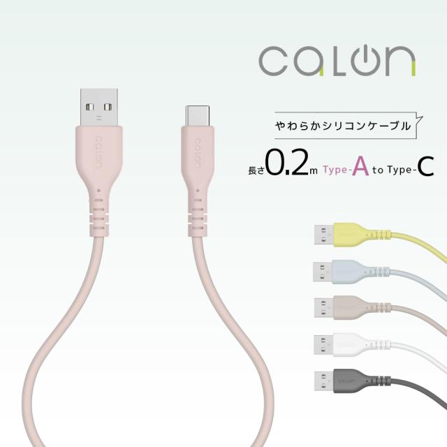 タイプAtoタイプC