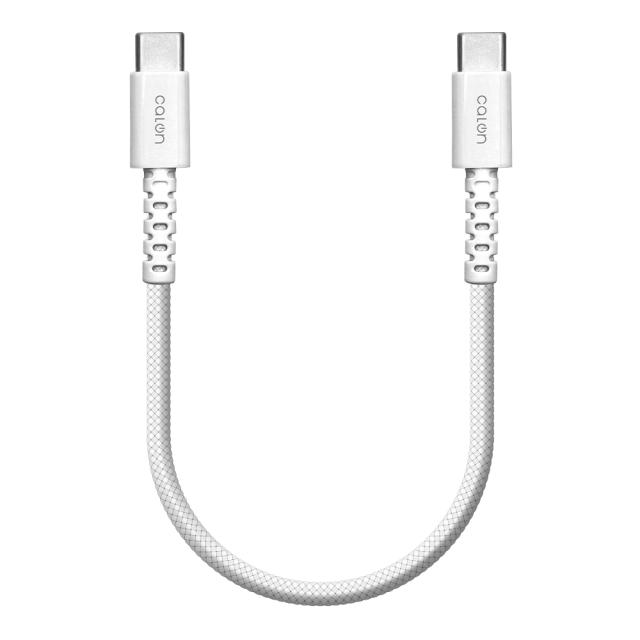 タイプCtoタイプC