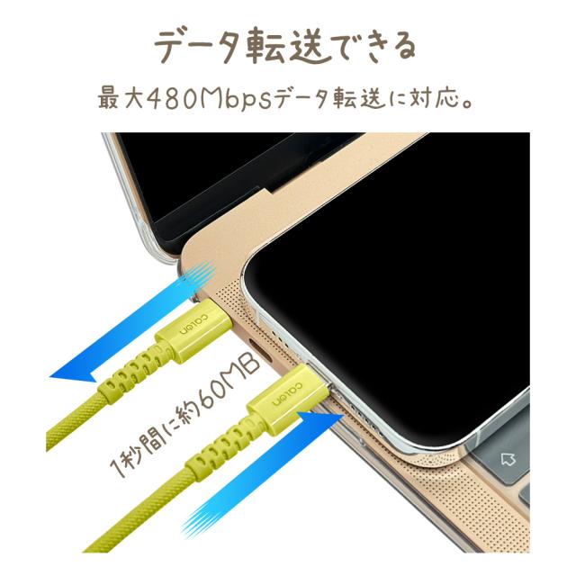 タイプCtoタイプC