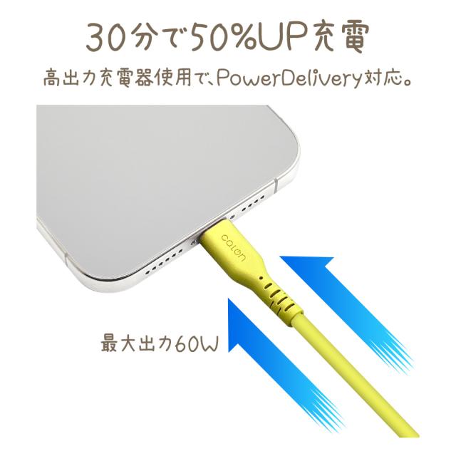 タイプCtoタイプC