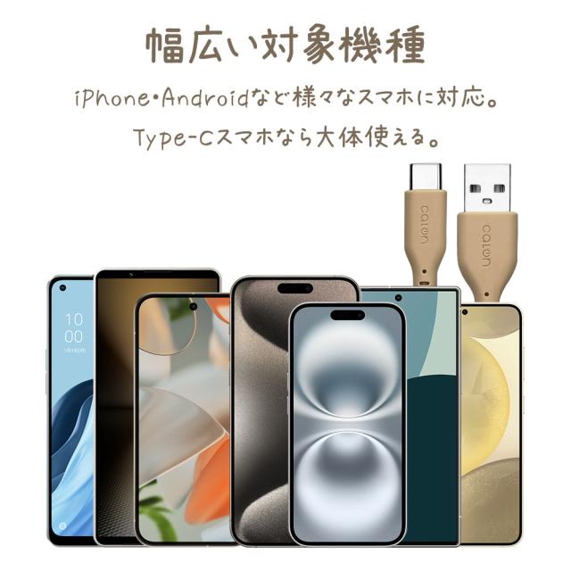 タイプAtoタイプC