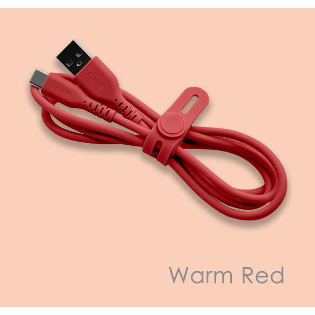 タイプAtoタイプC