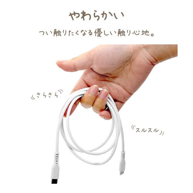 タイプCtoタイプC