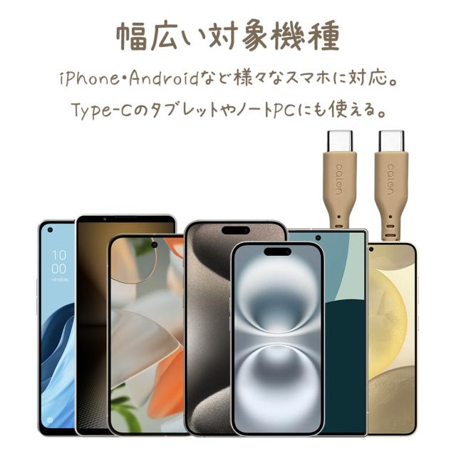 タイプCtoタイプC