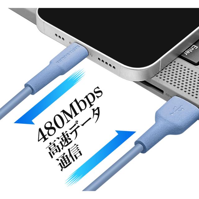 Atoライトニング