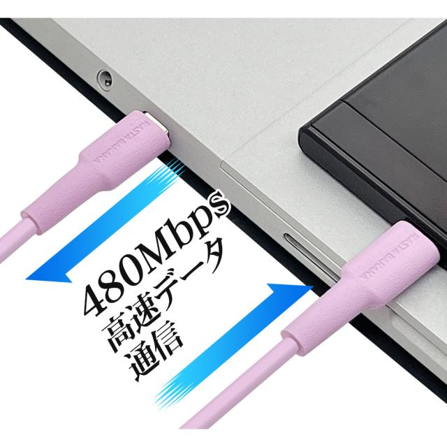 タイプCtoタイプC