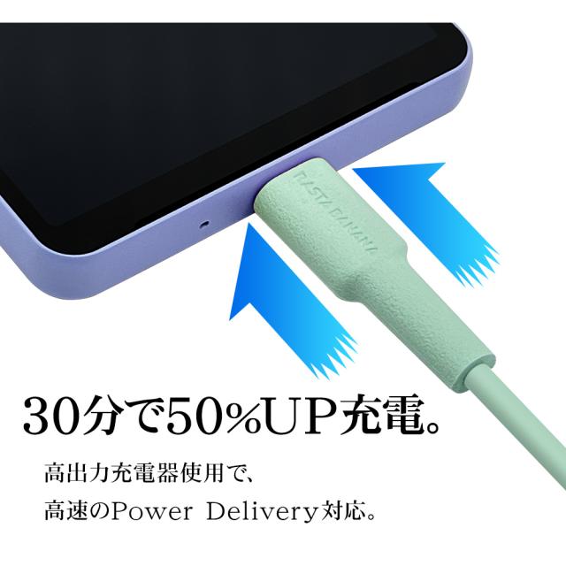 タイプCtoタイプC