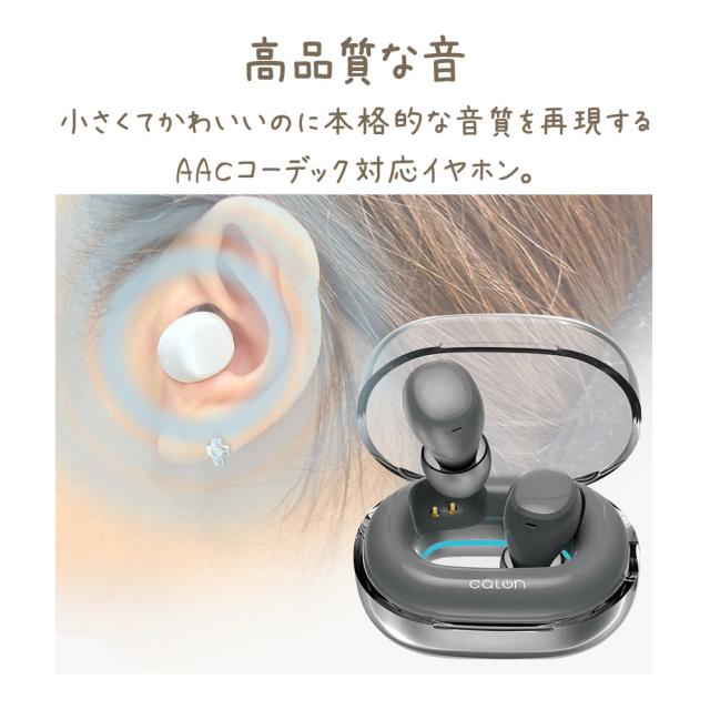 calon_Bluetooth完全ワイヤレス