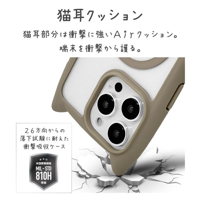 詳細