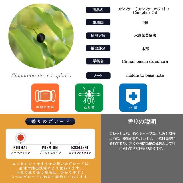 精油個別lp