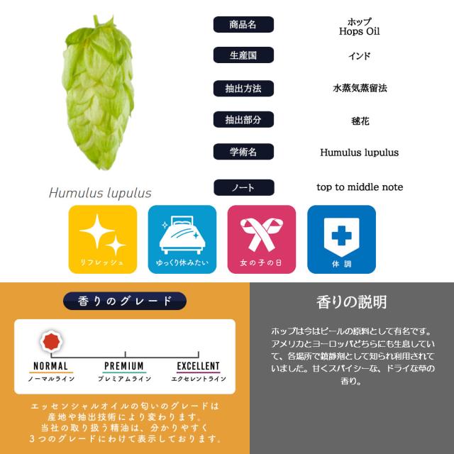 精油個別lp