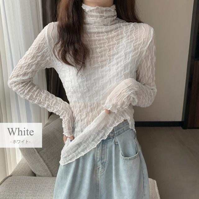 シアータートル