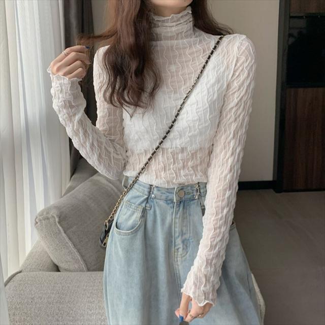 シアータートル