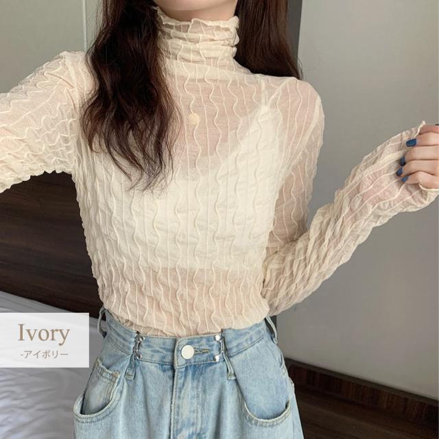 シアータートル