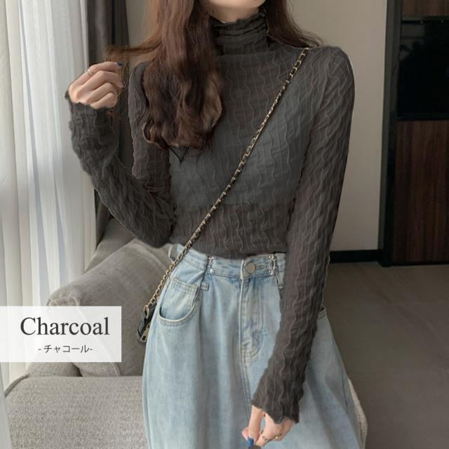 シアータートル