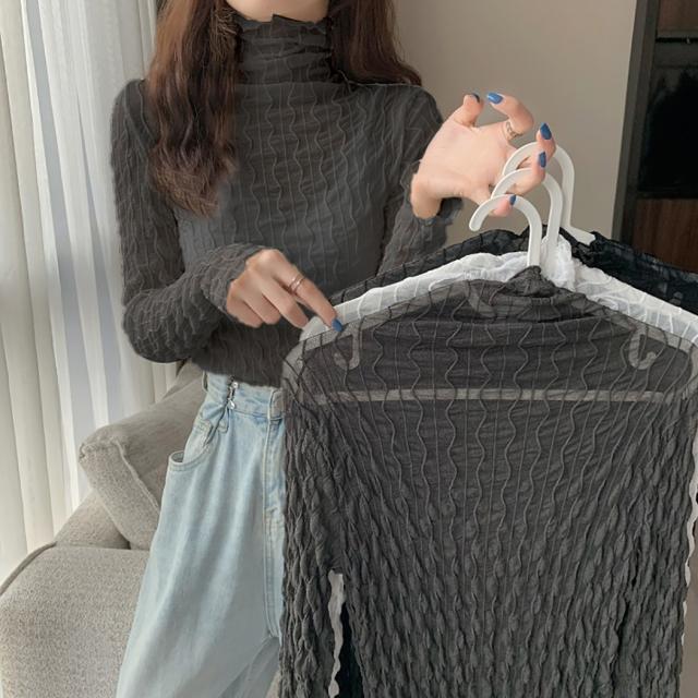 シアータートル