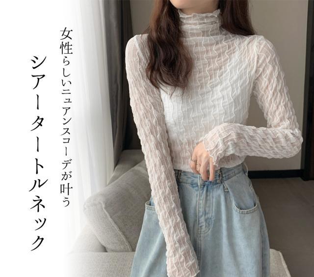 シアータートル