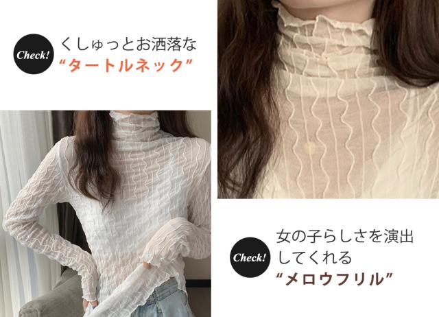 シアータートル