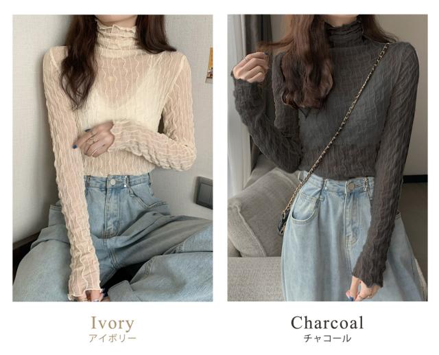 シアータートル