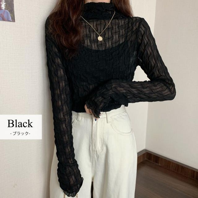 シアータートル