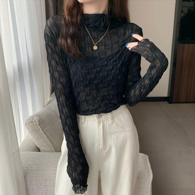 シアータートル