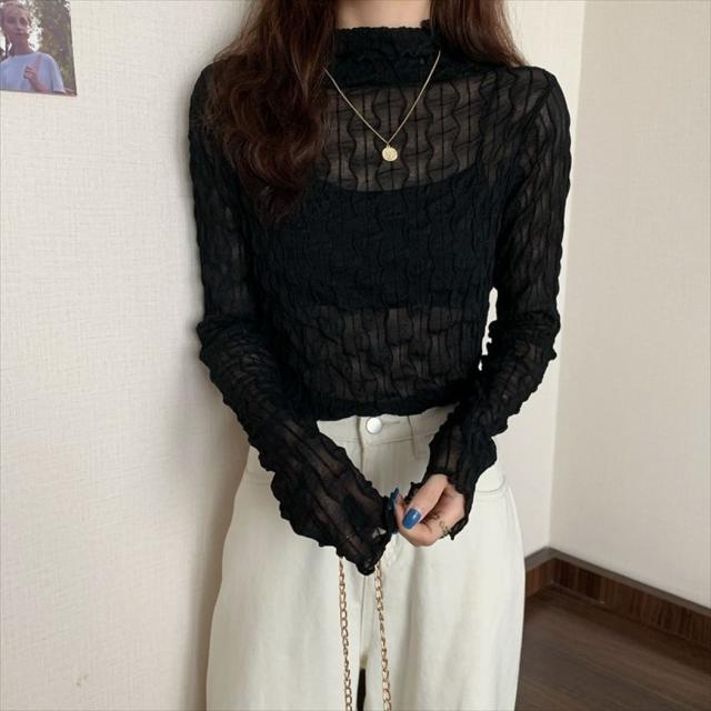 シアータートル