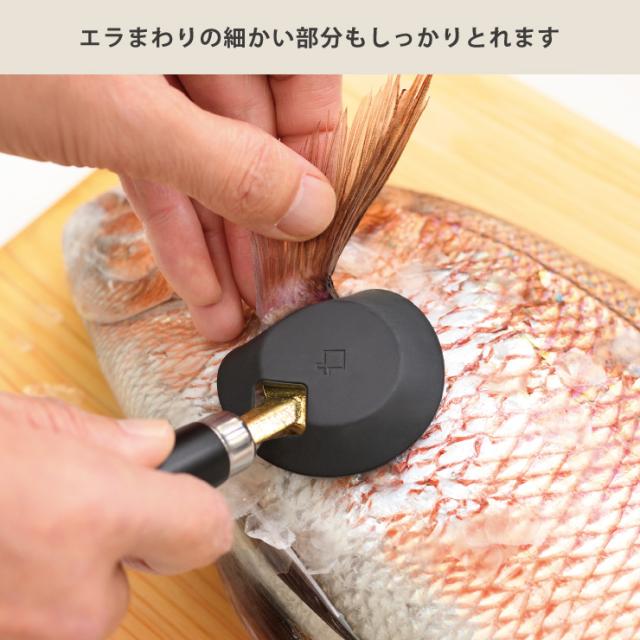 ヘッドが小さいので小回りが利き、身に沿わせやすく、エラ付近の鱗も残さず取れます