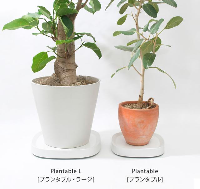ティディ,プランタブル,プランタブルラージ,植木鉢トレイ,キャスター付き,tidy,Plantable,PlantableL,アッシュコンセプト,テラモト
