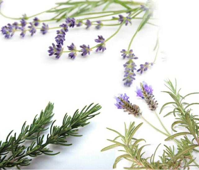 オリジナル洗濯洗剤フラワー ミルク缶,とみおかクリーニング