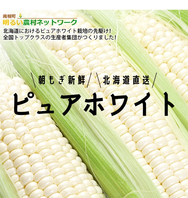 新色登場 21年ご予約承り中 8月出荷開始 お届け日時指定ok 北海道産とうもろこし 送料無料 白いとうもろこし ピュアホワイト 80本 南幌産 独創的 Upik Ac Ug