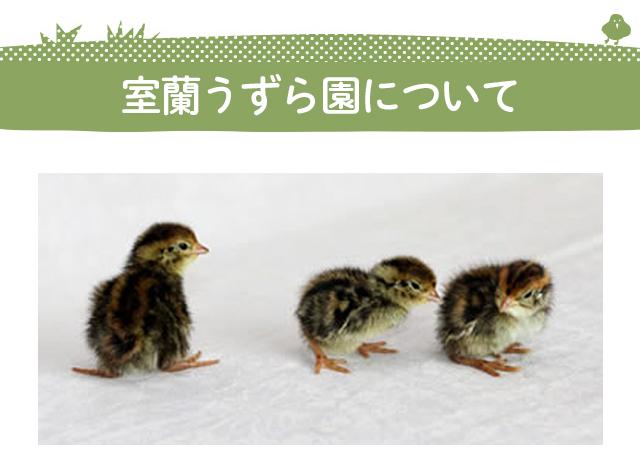 うずら園について