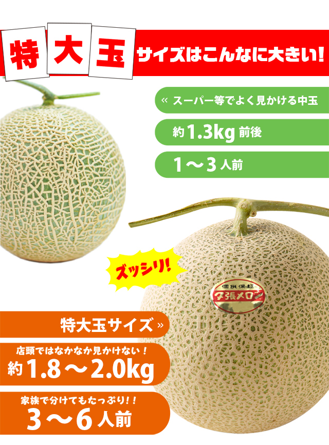 特大玉