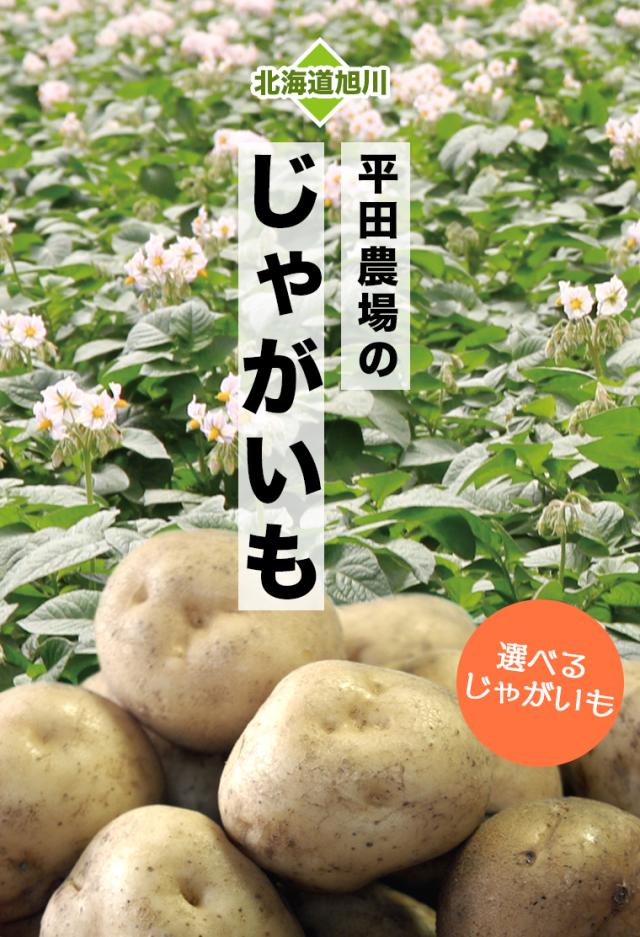 平田農場のじゃがいも