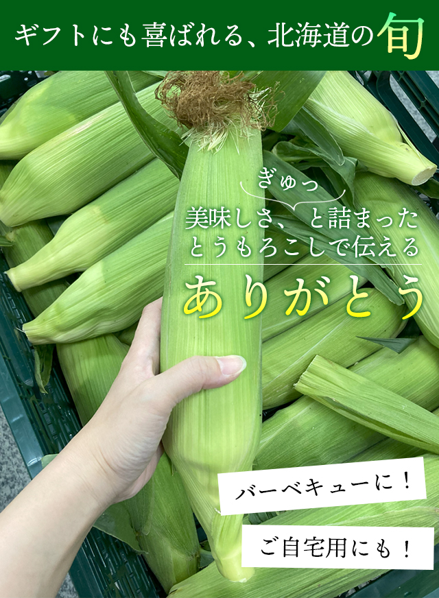 hokkaido