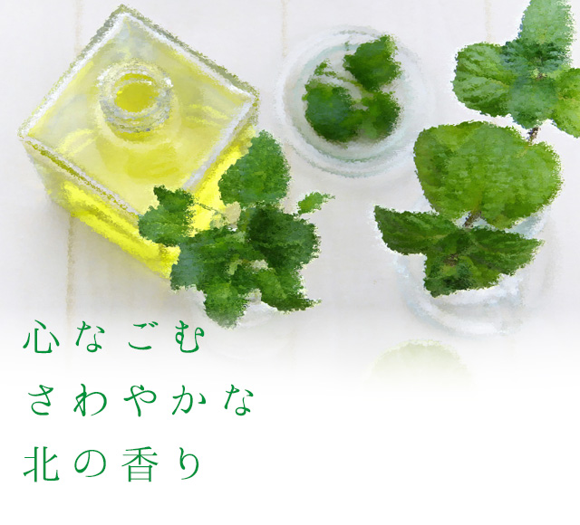 北のかおり